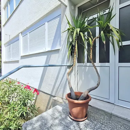 Sunlight Luxury 公寓 *